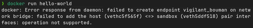 Docker daemon error after a system update, before a reboot