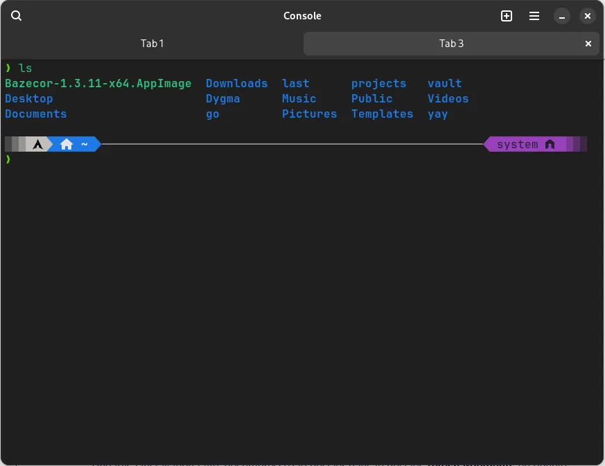 Coloured ls output from the zsh config
